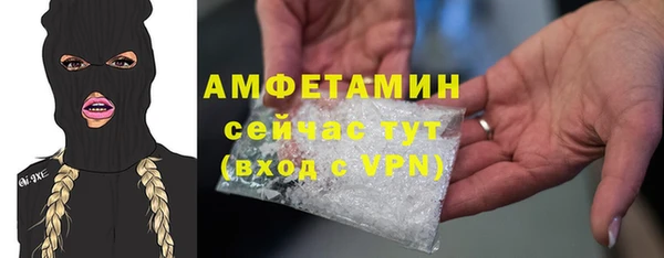 стафф Арсеньев
