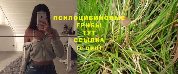 стафф Арсеньев