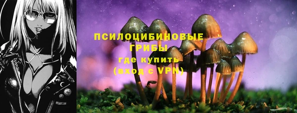 стафф Арсеньев